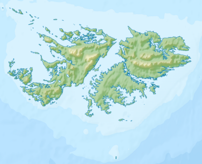 Relief Map of Falkland Islands.png