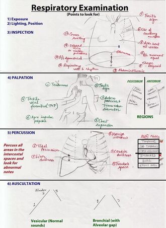 Respiratory examn.jpg