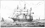 SMS Pola.png