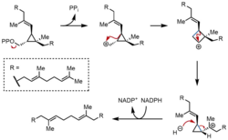 SQS Mechanism 2.png