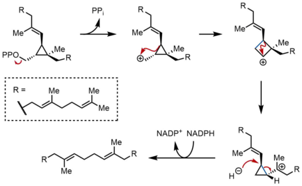 SQS Mechanism 2.png