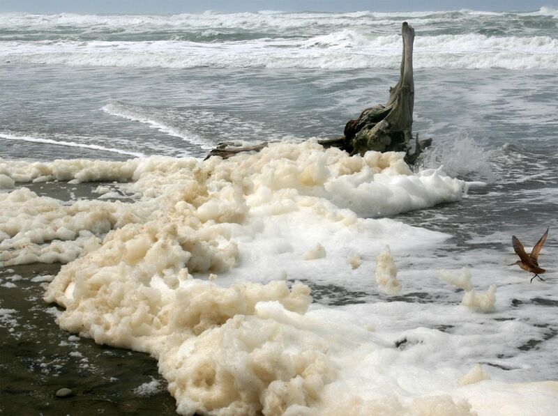 File:Sea foam at Ocean Beach in San Francisco -1 on 3-25-11.jpg
