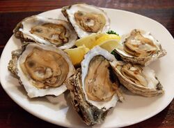 Six steamed oysters on the half shell.jpg