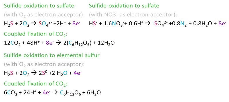 File:Sulfide oxidation reactions.jpg