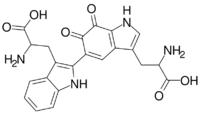 Tryptophan tryptophylquinone.svg