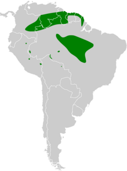 Xenopipo atronitens map.svg