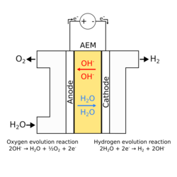 AEM water electrolysis working principle with HER and OER.png