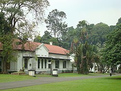 Bogor Botanical Gardens Java20.jpg