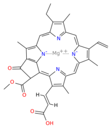 Chlorophyll c1.svg