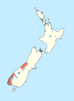 Map of New Zealand, showing D. fiordense's two main population groups: One in the Fiordland region, and the other in the Westland region.