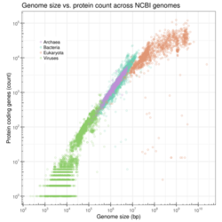 Genome size vs protein count.svg