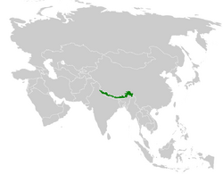 Horornis brunnescens distribution map.png