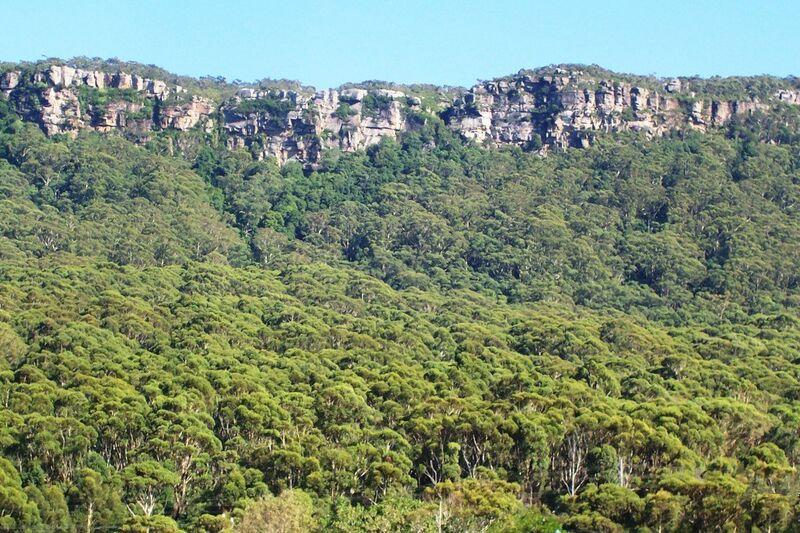 File:Illawarra Escarpment.jpg