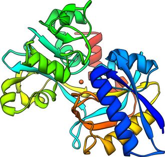 PBB Protein TF image.jpg