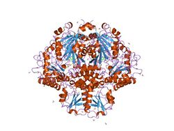 PDB 1ord EBI.jpg