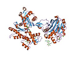 PDB 2a42 EBI.jpg