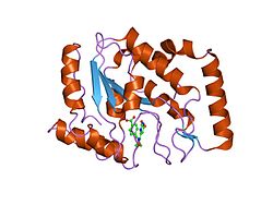 PDB 2hxm EBI.jpg