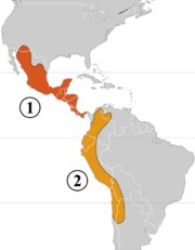 Two genetic pools of the domestication of P. vulgaris 1 – Mesoamerican area 2 – Andean area