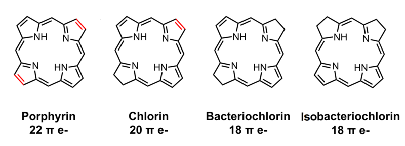 File:Porphyrin, chlorin, bacteriochlorins.png