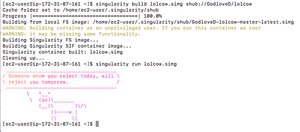 Singularity-software-build and run example-screenshot.png