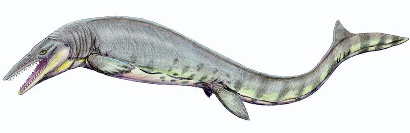 File:Tylosaurus pembinensis 1DB.jpg