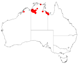 Acacia conjunctifoliaDistMap210.png