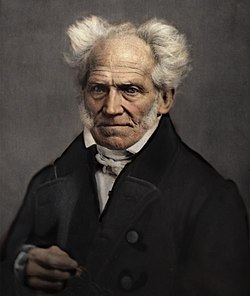 Arthur Schopenhauer colorized.jpg