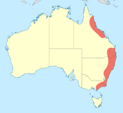 Austrophlebia distribution map.svg