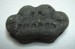 Charcoal dog biscuit.JPG