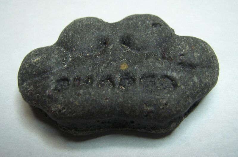 File:Charcoal dog biscuit.JPG