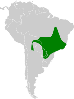 Corythopis delalandi map.svg