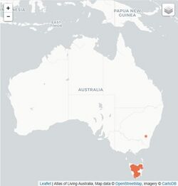 Distribution of Rubus gunnianus.jpg