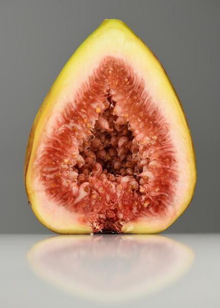 File:Fig (Ficus carica) fruit halved.jpg