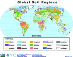 Global soils map USDA.jpg