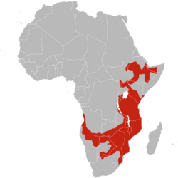 Long-tailed paradise whydah range map.png