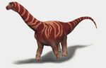 Nemegtosaurus3.jpg