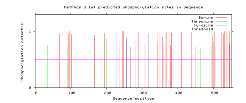 File:Phosphorylation sites of C10orf67.png