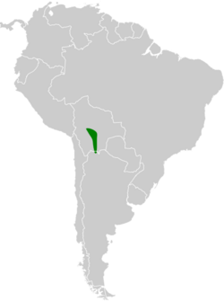 Poospiza boliviana map.svg