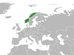 Primula scandinavica distribution.svg