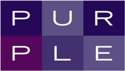 Purple Strategies logo.png