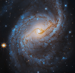 Stellar Sights in this New Hubble Galaxy Snapshot (Ngc6951-4ok-flat-final).webp