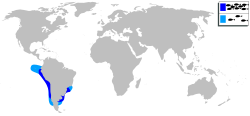 Aphos porosus mapa.svg