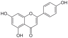 Apigenin