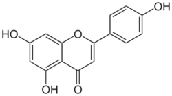 Apigenin.svg