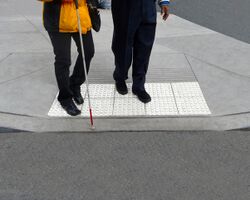 Two people stand on top of light-colored truncated domes at a curb cut. They both face the parking lot, and the person in front holds a white cane.