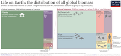 Distribution of the global biomass.png