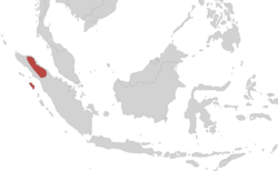 Ichthyophis paucisulcus area.png