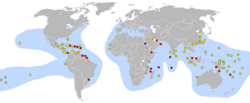 This world map shows concentrated nesting sites in the Caribbean and northeast coast of South America. Many other sites are spread across South Pacific islands, with other concentrations in the Red Sea and Persian Gulf, China's East coast, Africa's southeast coast and Indonesia.