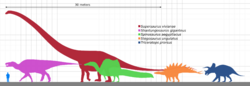 Longest dinosaur by clade.svg