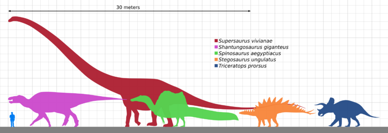 File:Longest dinosaur by clade.svg